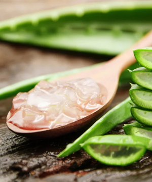 Aloevera Extract