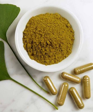 Ginkgo Bibola Extract