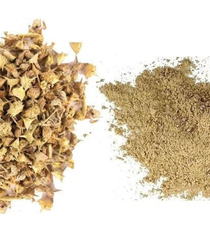 Gokshura Extract