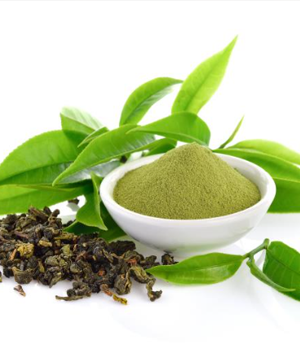 Green Tea Extract