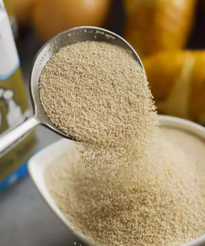 Instant Dry yeast