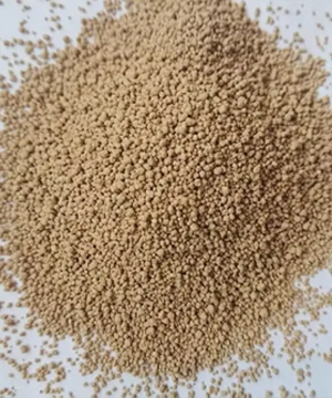 L-lysine