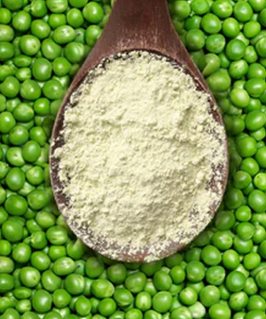 Pea Protein
