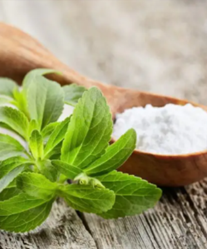 Stevia