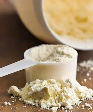 Whey Powder